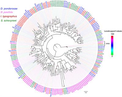 Identification of Candidate Olfactory Genes in Scolytus schevyrewi Based on Transcriptomic Analysis